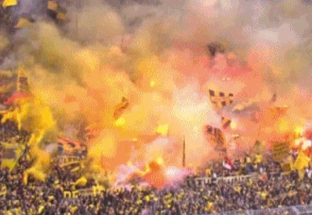 开云官网-【德甲】罗伊斯伤退 穆科科破门 多特德比胜沙尔克